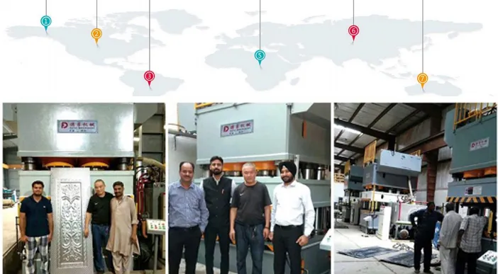 Kinh Nghiệm Trong Ngành và Năng Lực Xuất Khẩu